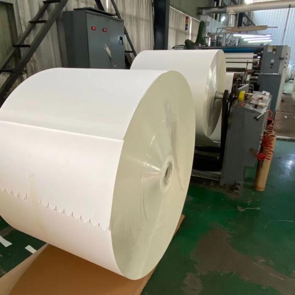 Buy cheap 170Gsm PE Laminated Paper Roll Single / Double PE Coating from wholesalers
