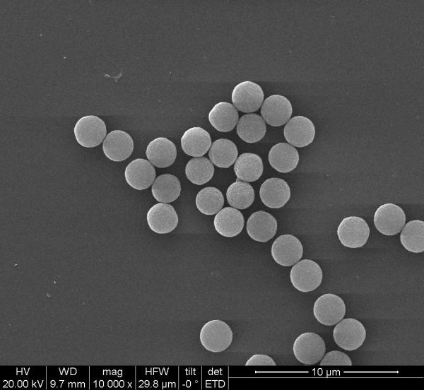 Buy cheap 200 Nm Streptavidin Biotinylated Antibodies With Effectively For Immunoassay from wholesalers