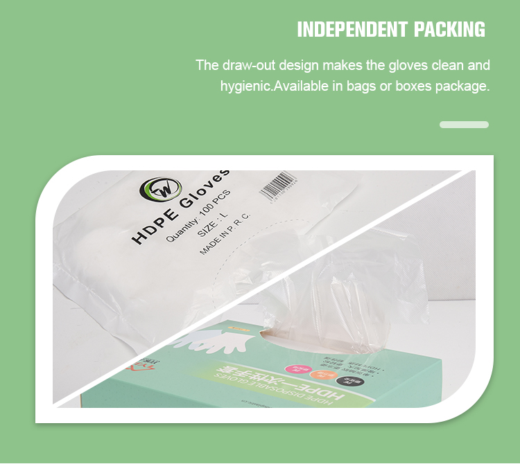 Transparent PE Plastic Clear Plastic Disposable Gloves Household Catering For Thick Winter Cleaning