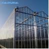 Buy cheap Multi Span Venlo Glass Greenhouse 140mm/H Capacity ISO9001 Certificated from wholesalers
