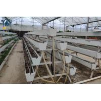 Buy cheap Modern Agricultural Strawberry Growing Troughs Greenhouse PVC Hydroponic Grow product