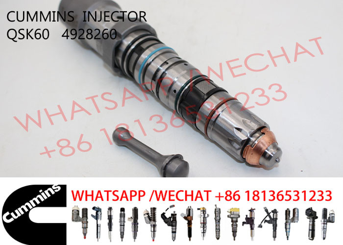 OEM 4928260 4062569 Common Rail Fuel Injector
