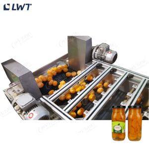Wholesale Leadworld Canned Fruit Production Line Canned Orange Processing Line from china suppliers