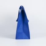 Fashion portable recyclable pp non woven cooler bag travelling insulated food