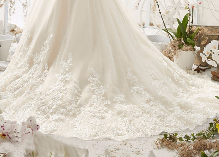 Plus Size Long Tail Bridal Gown V Neck Sleeveless Lace Backless Beaded Belt