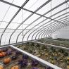 Buy cheap JX-SG-111 Climate-Controlled Sunlight Greenhouse for Sand Culture Vegetable Planting from wholesalers