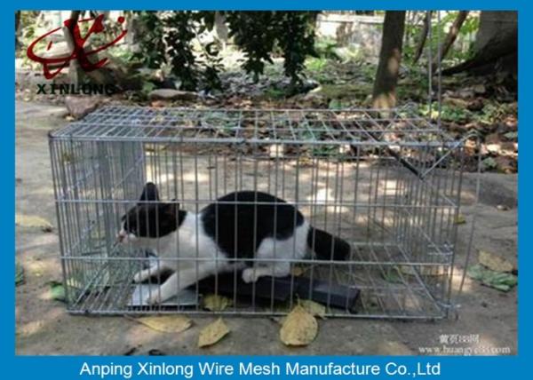 Buy cheap Galvanized / PVC Coated Welded Wire Mesh Fence For Animal Cages Various Length from wholesalers