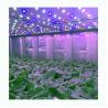 Buy cheap 20ft NFT System Hydroponic Shipping Container Farm For Leafy Greens from wholesalers