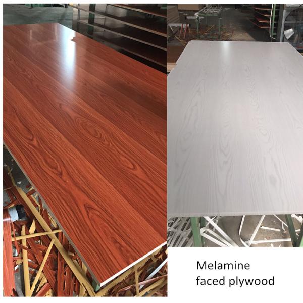 Buy cheap Melamine Paper WBP Glue 20mm White Faced Plywood Sheets from wholesalers