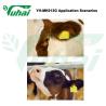 Buy cheap 7.5x6 Livestock Ear Tag Polyurthene Ear Tag Without Laser Printed For Pig Identification from wholesalers