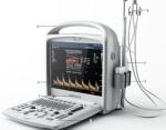 Buy cheap High-Tech Portable Color Doppler Ultrasound System Digital With 3D / 4D Software from wholesalers