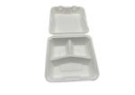 9 Inch 3 Compartment Biodegradable Takeout Food Containers