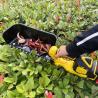Buy cheap Professional Tea Picking Machine Battery Tea Leaf Picker Tea Plucker Plucking Machine from wholesalers