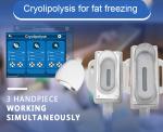 5 Handles Cryolipolysis Slimming Machine Belly Fat Reduction Machine