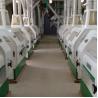Buy cheap New Arrival China Commercial Grain Mill for Wheat and Maize Flour from wholesalers