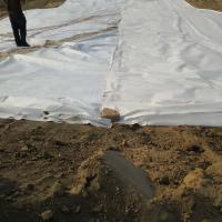 Buy cheap 1.5mm LDPE Geomembrane Laminated with 300gsm PET Filament Needle Punch Nonwoven product