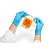 Buy cheap Bags - Liquid & Sample Handling - Product Group, Consumable products manufacturers, Lab Blender Bags, sterile lab blende from wholesalers