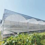 Customized Agricultural Plastic Film Multi-span Polyhouse Greenhouse