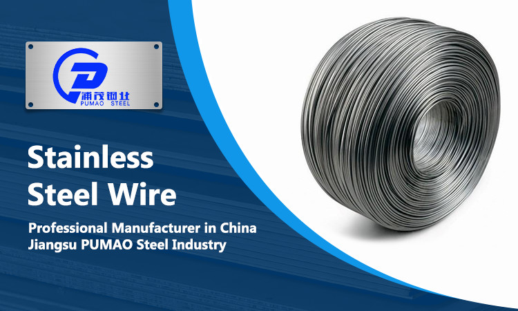 High Tensile Steel Wire ASTM Stainless Steel Wire 201 304 316 Spring Wire 0.15-12mm