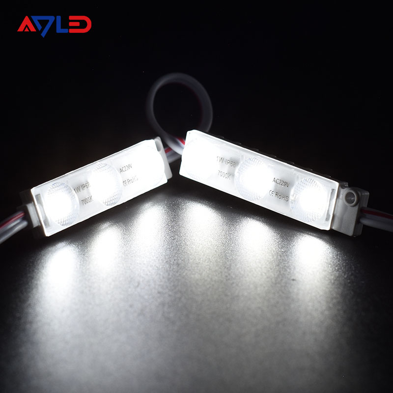 AC 110V 220V High Power SMD LED Module Injection 2835 LED Module