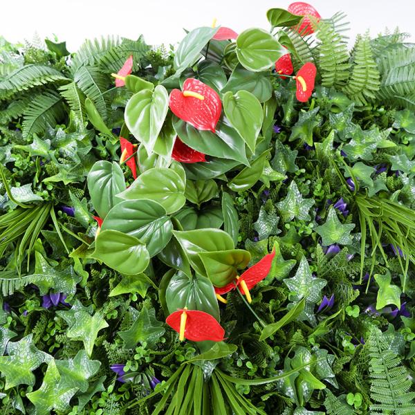 Buy cheap Indoor Artificial Plants Live Boxwood Hedge Wall 35mm Plastic from wholesalers