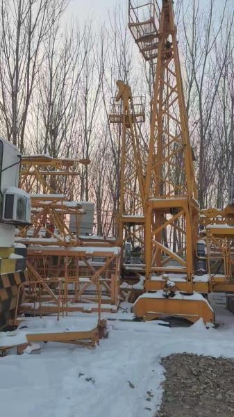 Maximum Lifting Height 50-100m Zoomlion 11-Year-Old Used Tower Crane on Special