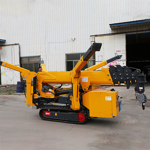 360 Degree Hydraulic Slewing JIB Cranes 3000kg Crawler Cantilever Spider Crane