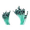 Buy cheap 24 Fiber Multimode OM3 Mpo Fiber Connector Female Type A LSZH from wholesalers