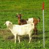Buy cheap Deer Goat Farm Wire Fence Galvanized Wire Hinge Joint Fencing from wholesalers