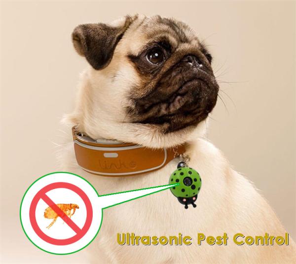 Buy cheap dog cat pet's ultrasonic insect repellent electronic flea small size mini pet collar from wholesalers
