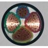 Buy cheap 0.6/1KV Copper core PVC insulated PVC sheathed power cable (VV) from wholesalers