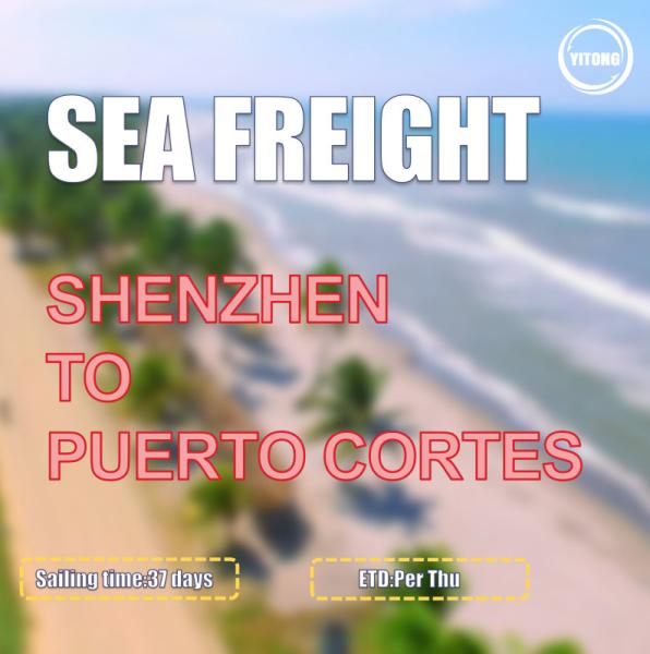 Buy cheap 37 Days DDP DDU Sea Freight From Shenzhen To Puerto Cortes Honduras from wholesalers