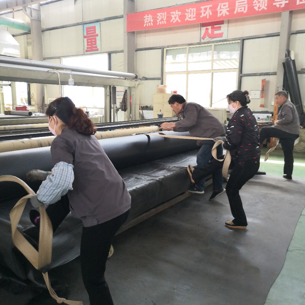 Industrial Design Style SSS HDPE Geomembrane for Fish Farms and Landfill Applications