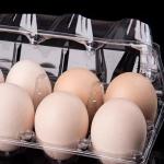 8 Holes Thickened Disposable Plastic Egg Tray PET Transparent With Hinged Design
