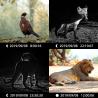 Buy cheap Hot-sale Animal camera Fast Trigger Dual lens Full HD photo and video CE FCC ROHS Hunting Trail Camera from wholesalers
