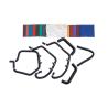 Buy cheap High Fluorine FKM Low Temperature Fluoroelastomer Terpolymer Oil Seal O Rings Gaskets from wholesalers