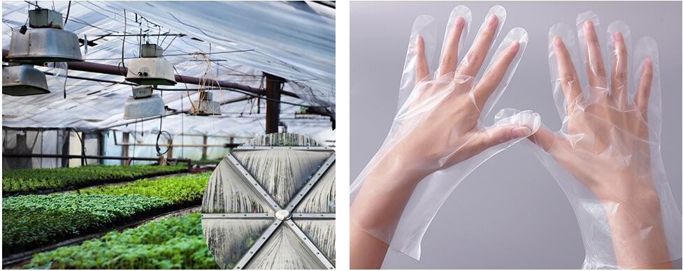 En13432 certified custom printed wholesale biodegradable compostable plastic pharmacy bag with singlet handle