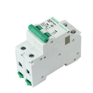 2.0Nm SCB8T-80 80Amp MCB Circuit Breakers