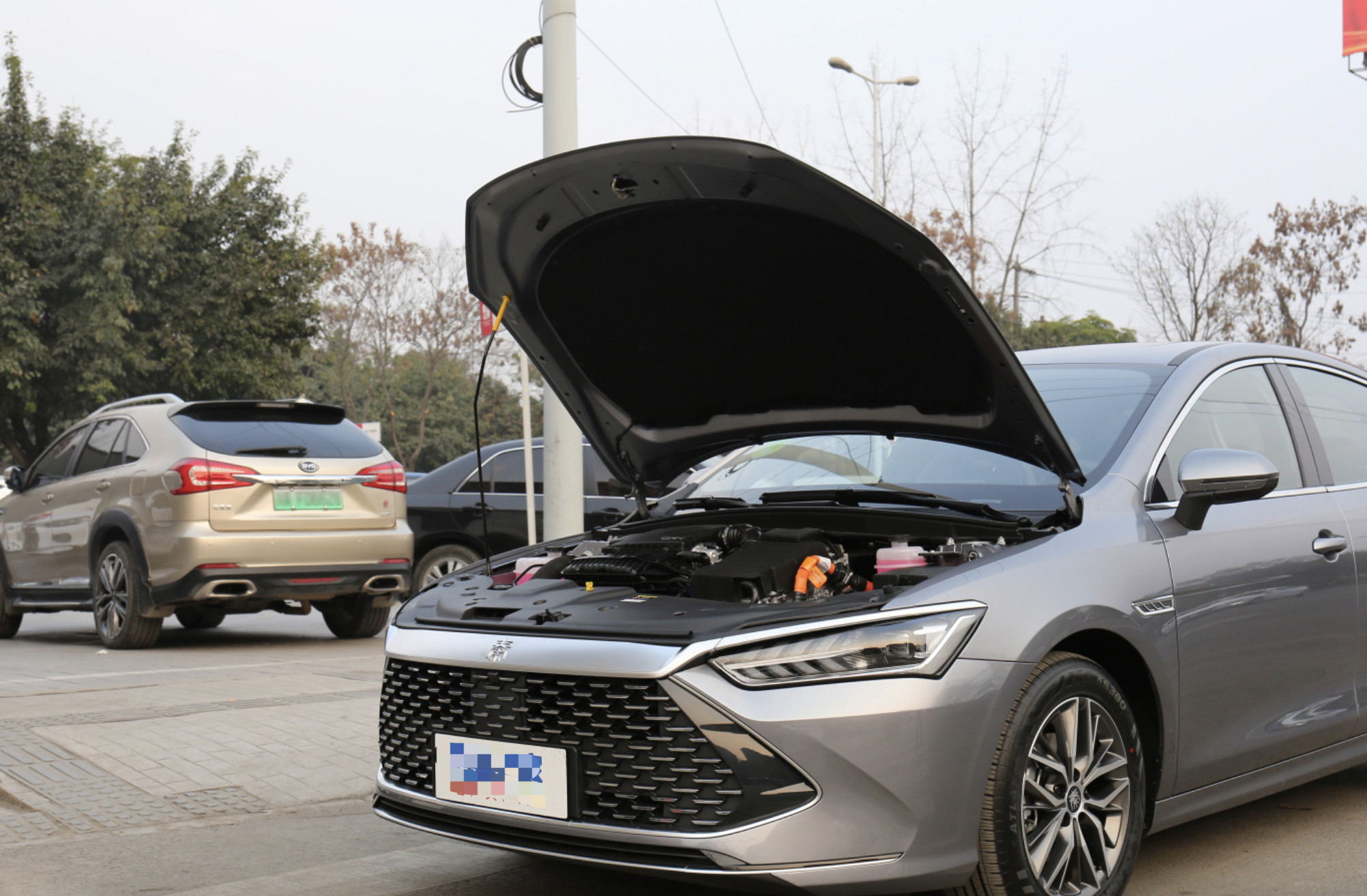 BYD Qin Plus 2021 EV500KM Honorable Version Hybrid Sedan