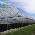 Hot Dip Galvanized Steel Plastic Film Greenhouse 3-8m Gutter Four Seasons