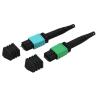 Buy cheap Usconec MTP MPO Connector FTTH Fiber Optic Patch Cord from wholesalers