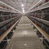 Buy cheap 20000 Birds Battery Chicken Layer Cage H Type For Pakistan Farm 2mm from wholesalers