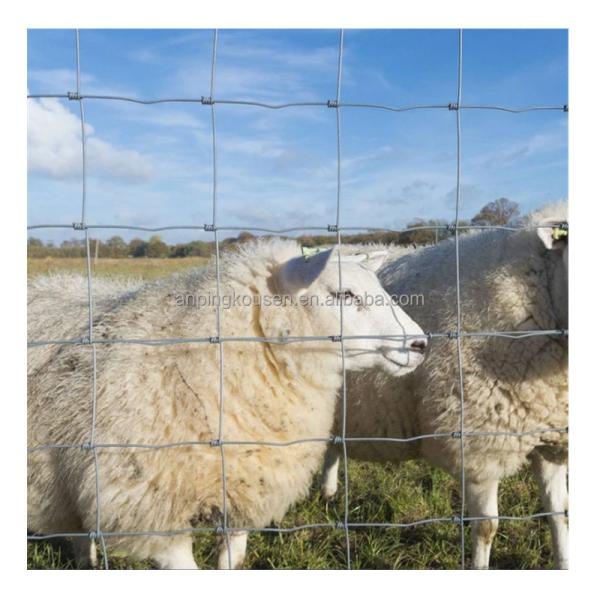 Galvanized 4ft 5ft 6ft 8ft Height Grassland Guard Agricultural Field Fence for