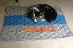 Knit Pet Sweater, Dog Knitting Wool jacquared Turtle neck Sweater Pet Winter
