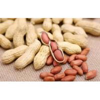 Buy cheap Original Materials Peanuts Raw Nuts Hard Texture Crispy Taste Good For Stomach product