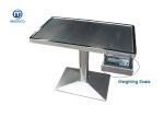 Buy cheap Medical Vet Exam Table Stainless Steel Column Weighing And Surgical Treatment Table from wholesalers