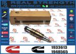 Diesel Common Rail Fuel Injector 1933613 Compatible
