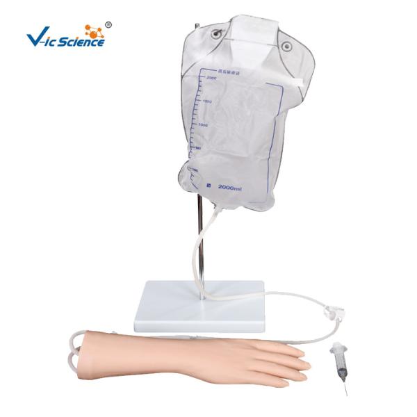 Buy cheap PVC Iv Hand Model 8kgs Medical Training Manikins from wholesalers