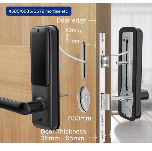 Buy cheap ROSH Electronic Deadbolt Lock Wifi Keyless Remote Control Replaceable Cylinder from wholesalers