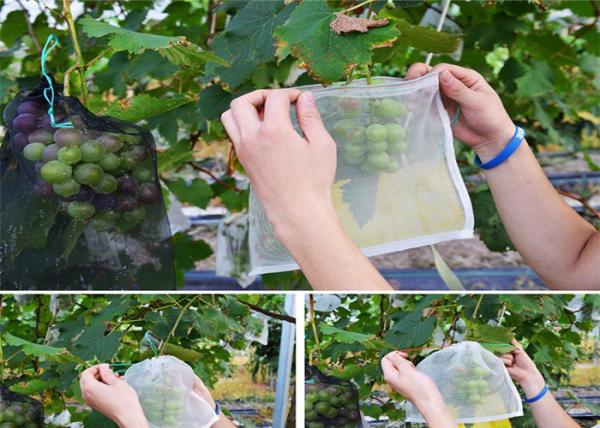 Agriculture Mesh Bag Garden Insect Mesh Netting Farming Vegetables Fruit Cover